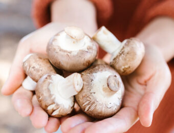 Handful of Mushrooms