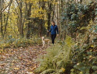 girl walking dog in forest