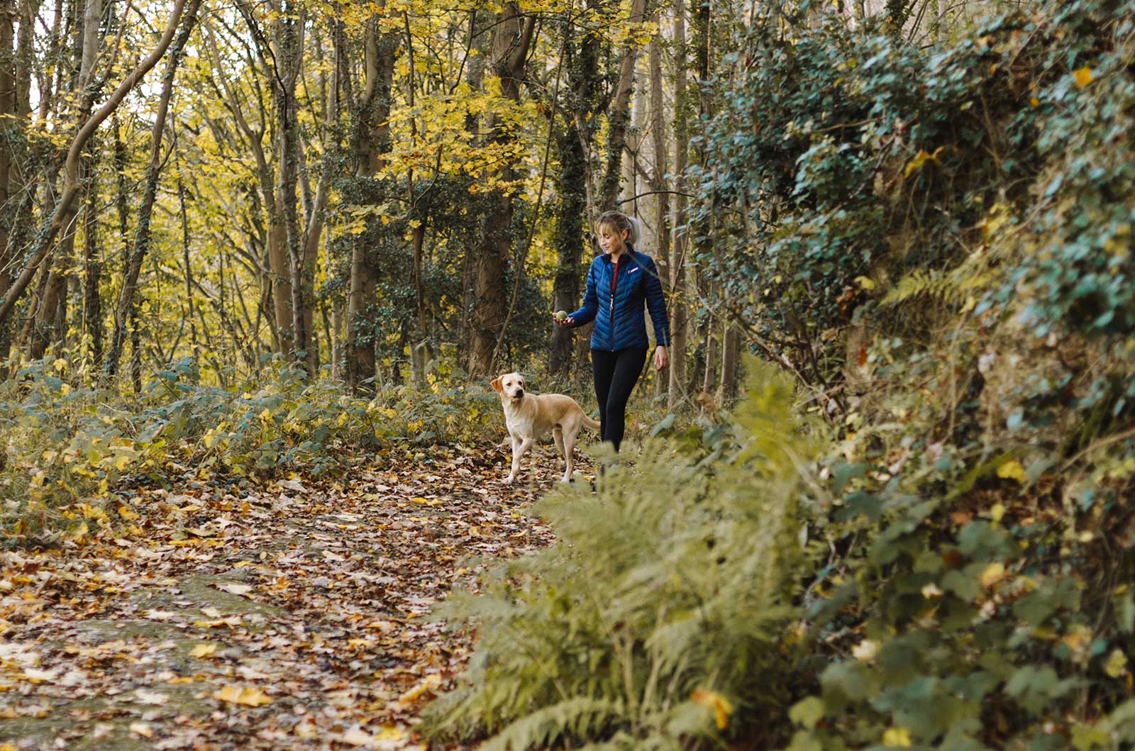 girl walking dog in forest